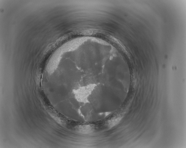 X0000087630307200705241221