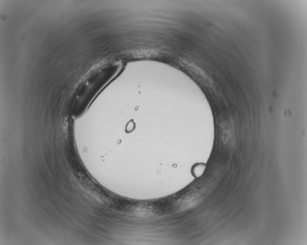 X0000087630308200705241221