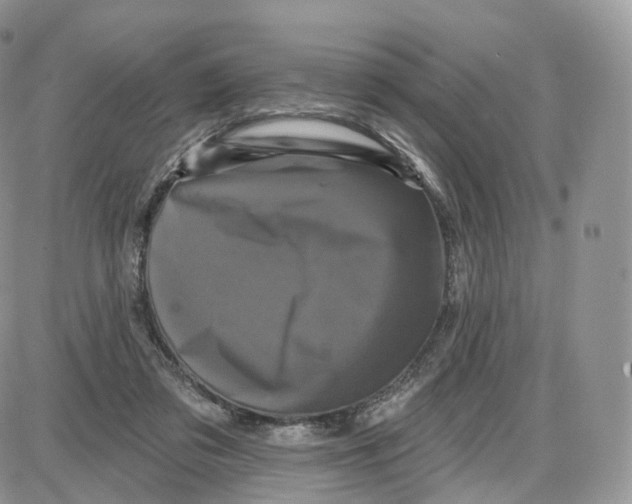 X0000087630309200705241221