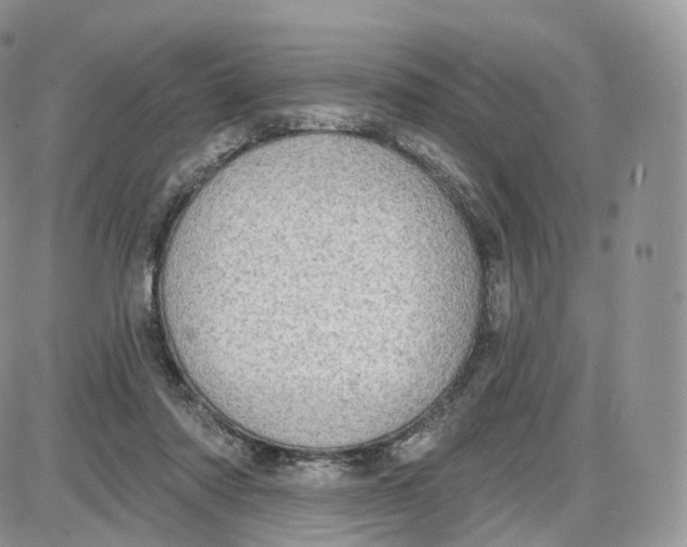 X0000087630310200705241221