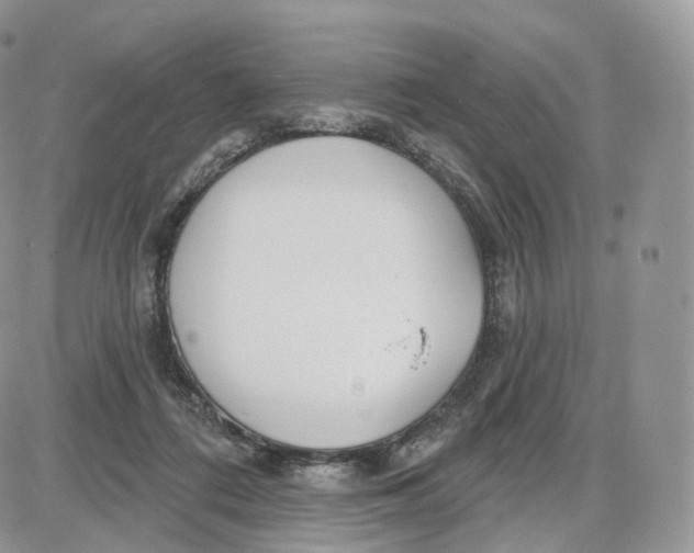 X0000087630312200705241221