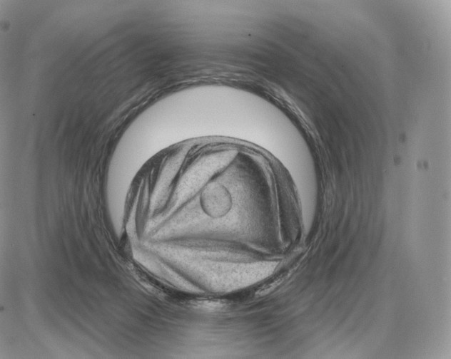 X0000087630313200705241221