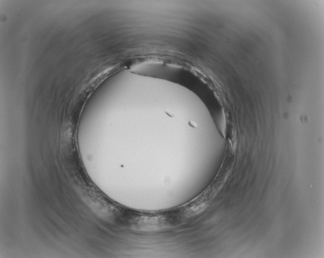 X0000087630314200705241221