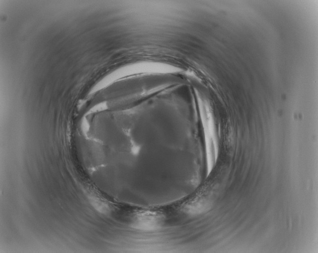 X0000087630315200705241221