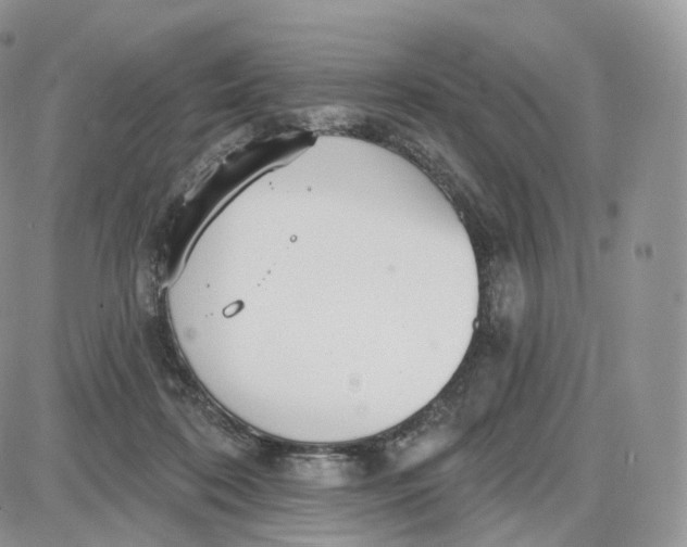 X0000087630316200705241221