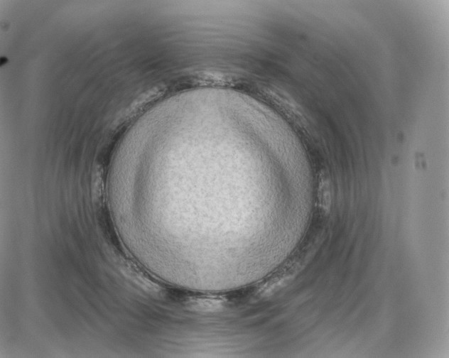 X0000087630318200705241221