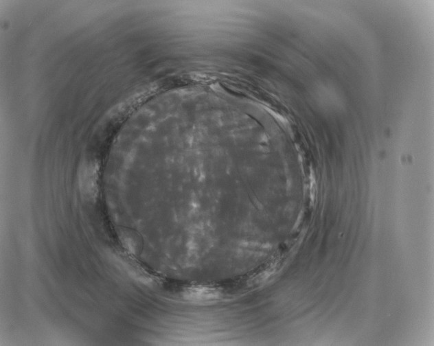 X0000087630319200705241221