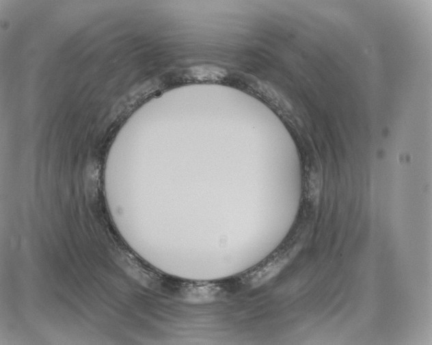 X0000087630321200705241221