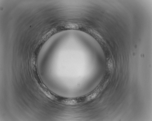 X0000087630322200705241221