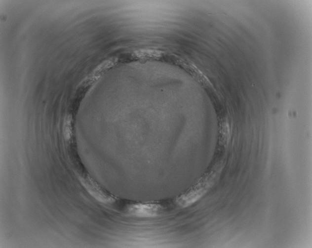 X0000087630323200705241221