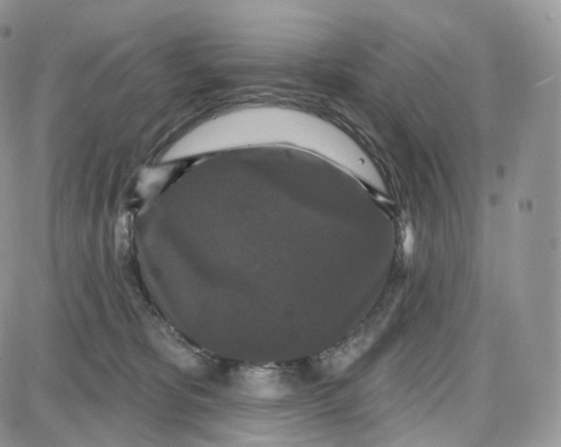 X0000087630325200705241221