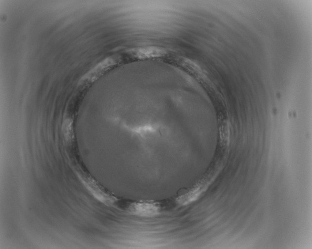 X0000087630327200705241221