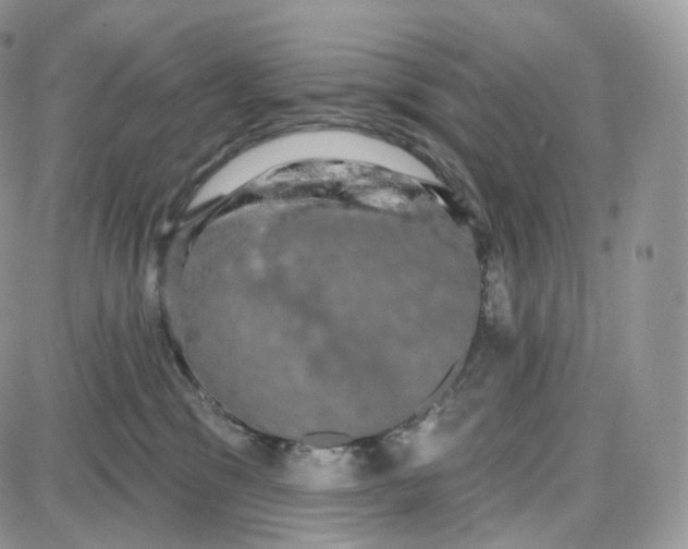 X0000087630329200705241221