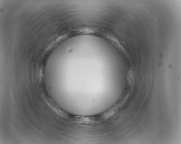 X0000087630330200705241221