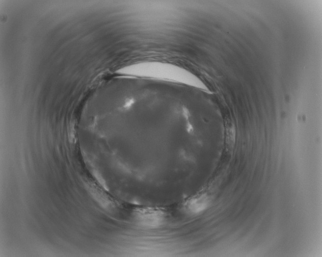 X0000087630331200705241221