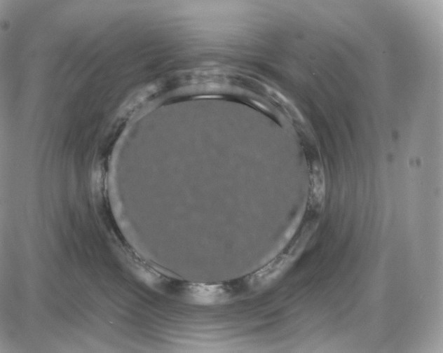 X0000087630333200705241221