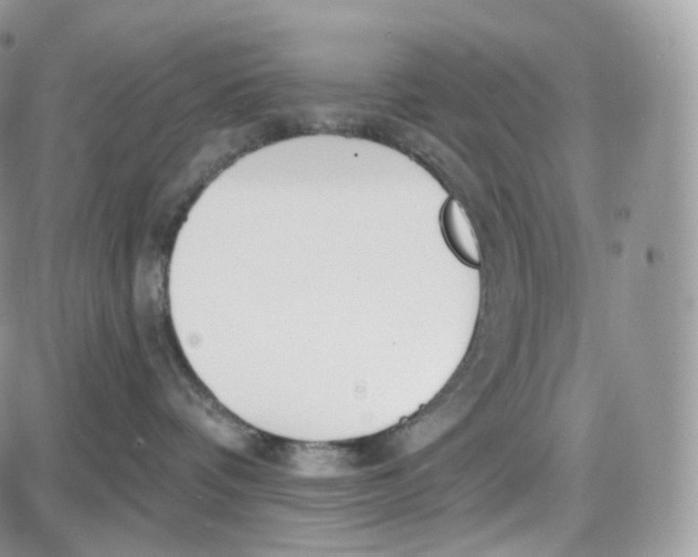 X0000087630336200705241221