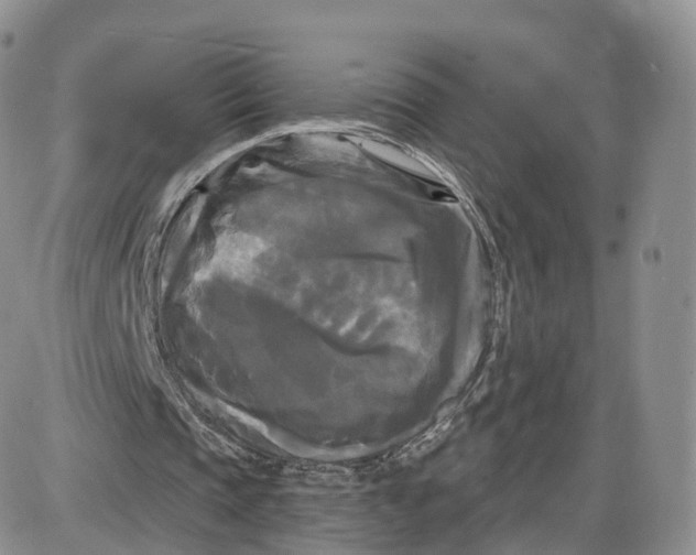 X0000087630337200705241220