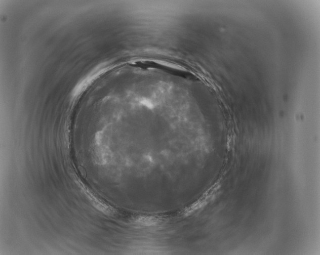 X0000087630341200705241220