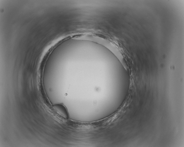 X0000087630342200705241220