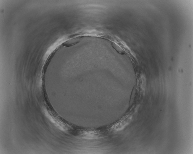 X0000087630344200705241220