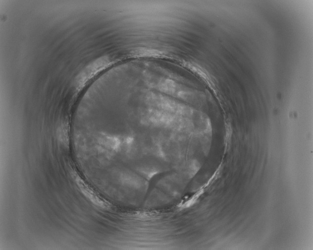 X0000087630345200705241220