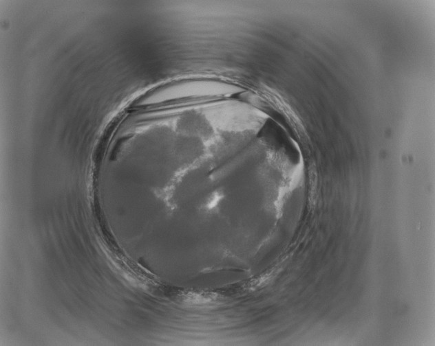 X0000087630346200705241220