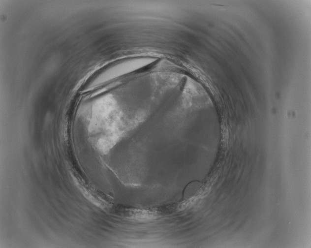 X0000087630347200705241220