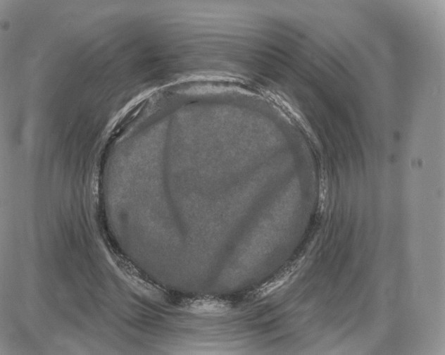 X0000087630348200705241220