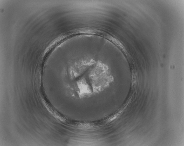 X0000087630349200705241220