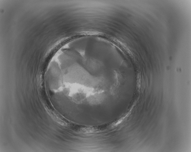 X0000087630351200705241220