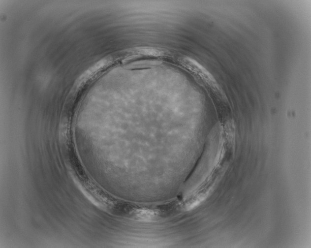 X0000087630352200705241220