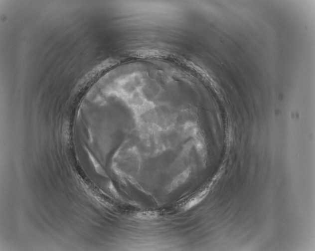 X0000087630353200705241220