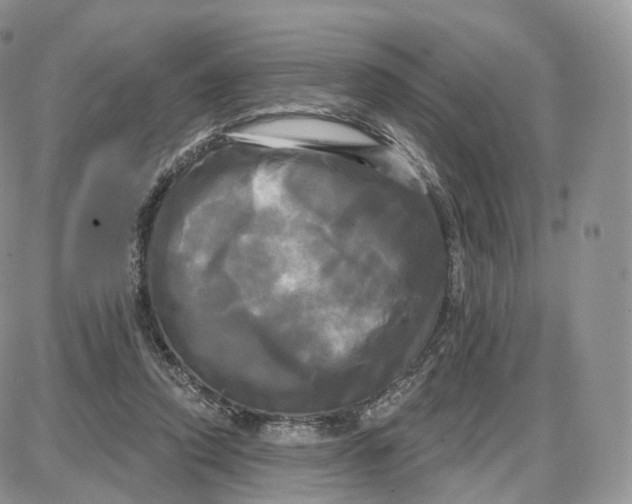 X0000087630354200705241220