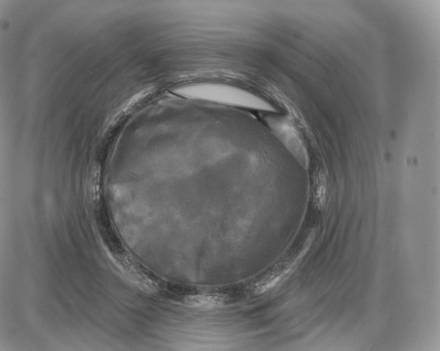 X0000087630356200705241220