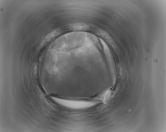 X0000087630357200705241220