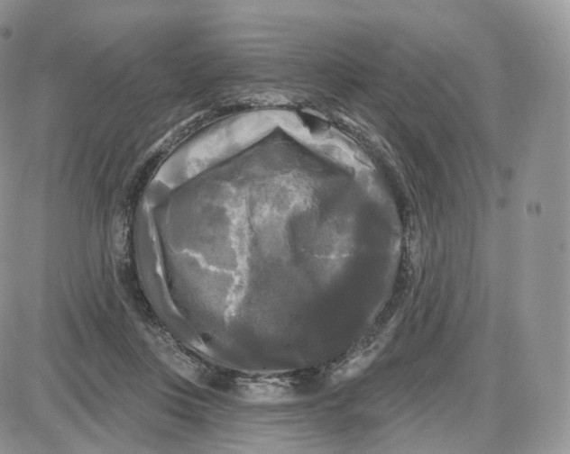 X0000087630359200705241220