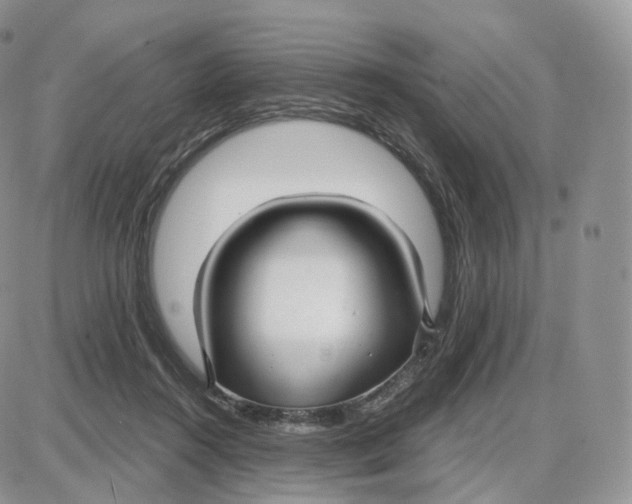 X0000087630360200705241220