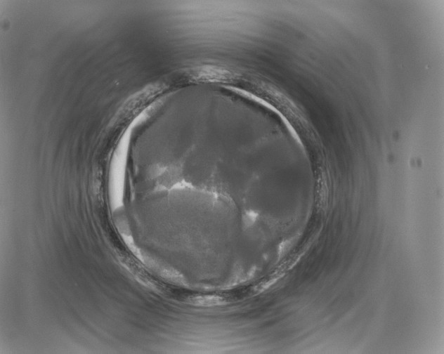 X0000087630361200705241220