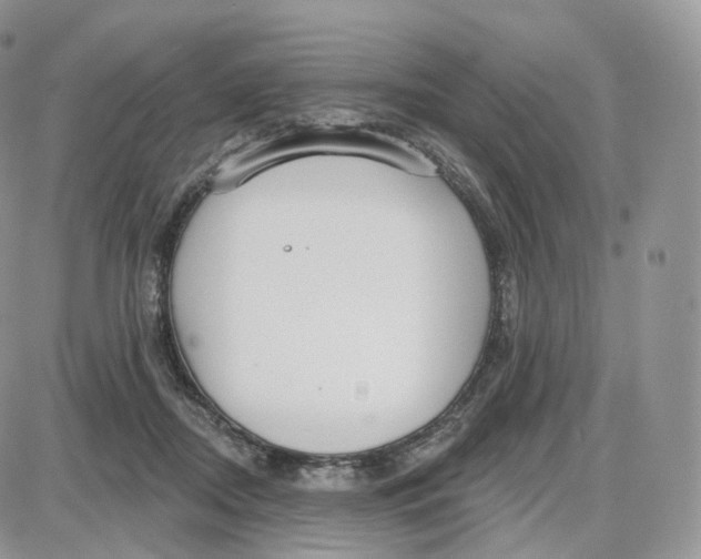 X0000087630362200705241221