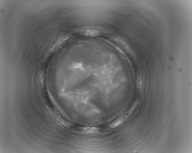 X0000087630363200705241221