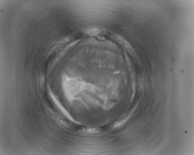 X0000087630365200705241221