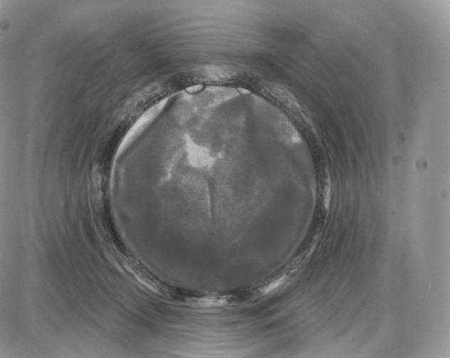 X0000087630366200705241221