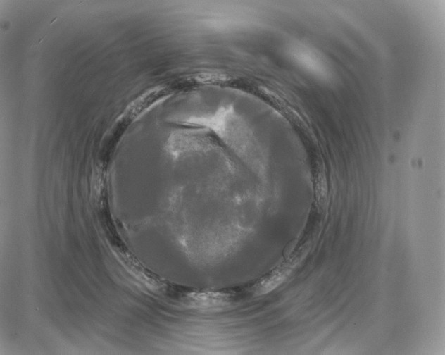 X0000087630367200705241221