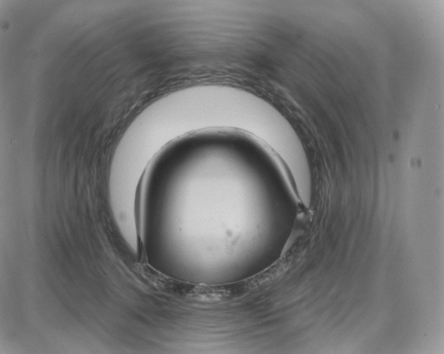 X0000087630368200705241221