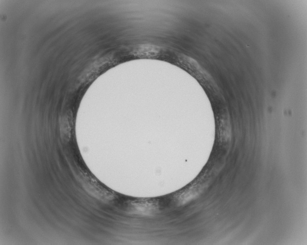 X0000087630370200705241221