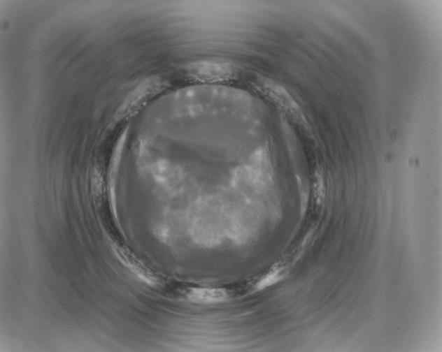 X0000087630371200705241221