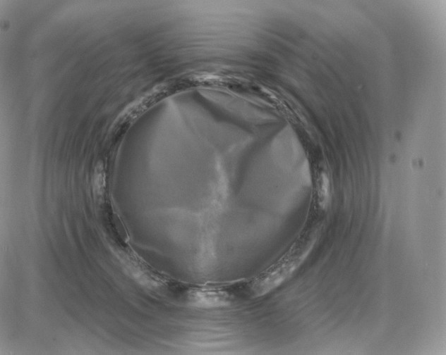 X0000087630372200705241221