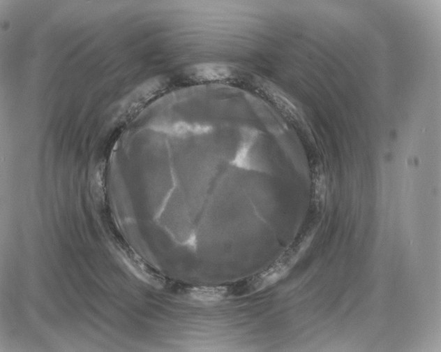 X0000087630373200705241221