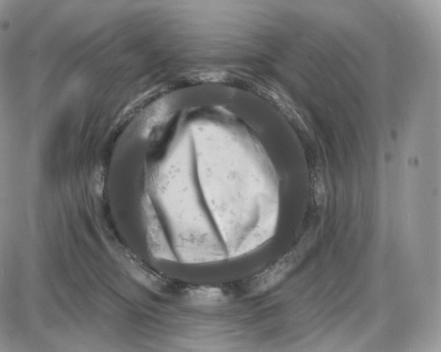 X0000087630374200705241221